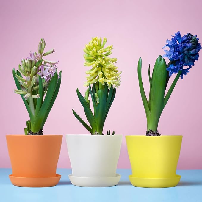 Hahood 20 Pack Plastic Planters 4 Inch Plant Flower Pot with Trays, Seedlings Nursery Pots Planter Flower Container Seed Pots for Seedling, Transplanting, Cutting, Assorted 10 Colors
