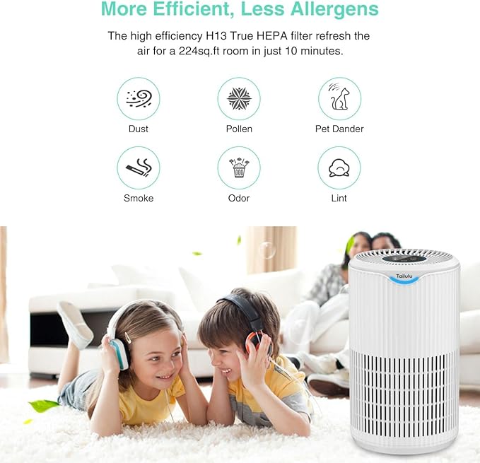 Tailulu Air Purifier Replacement Filter for D09 Air Cleaner, 3-in-1 True H13 HEPA Filter, 1 Pack