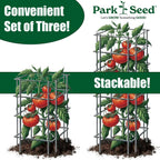 Park Seed Tomato Cages – 39" Tall Heavy-Duty Plant Supports for Tomatoes, Peppers, Cucumbers, and Climbing Vegetables, Foldable Metal Garden Trellis, Pack of 3