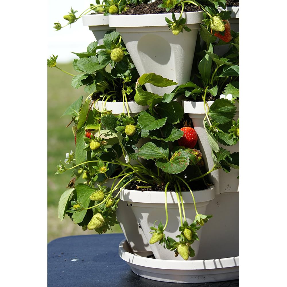 Vertical Garden Planter 4 Tier Stackable System 16 Plants, Space Saving Herb, Strawberry & Food Crop Planter with Center Support Hole for Indoor Outdoor Gardening (4, Stone, Small)