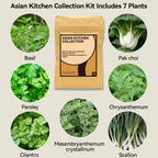 inbloom Gourmet Herb Seed Pod Kit for AeroGarden, iDoo, Ahopegarden with Basil, Parsley, Cilantro, Chrysanthemum, Pak Choi, Crystalline Ice Plant, Onion, Hydroponics Growing System Supply (12-Pod)