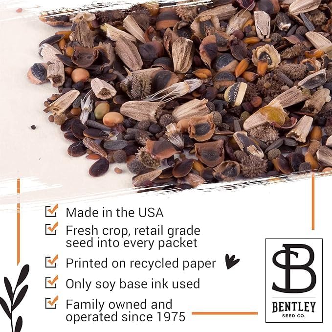Bentley Seed Co. | Bee Kind Pollinator Flowers | Beautiful Bee Art Kraft Look Seed Packets | Environmental Favors Cards for Guests | Wildflower Mix Seed Packets | Eco-Friendly Hand Out Gift | 25 Pack