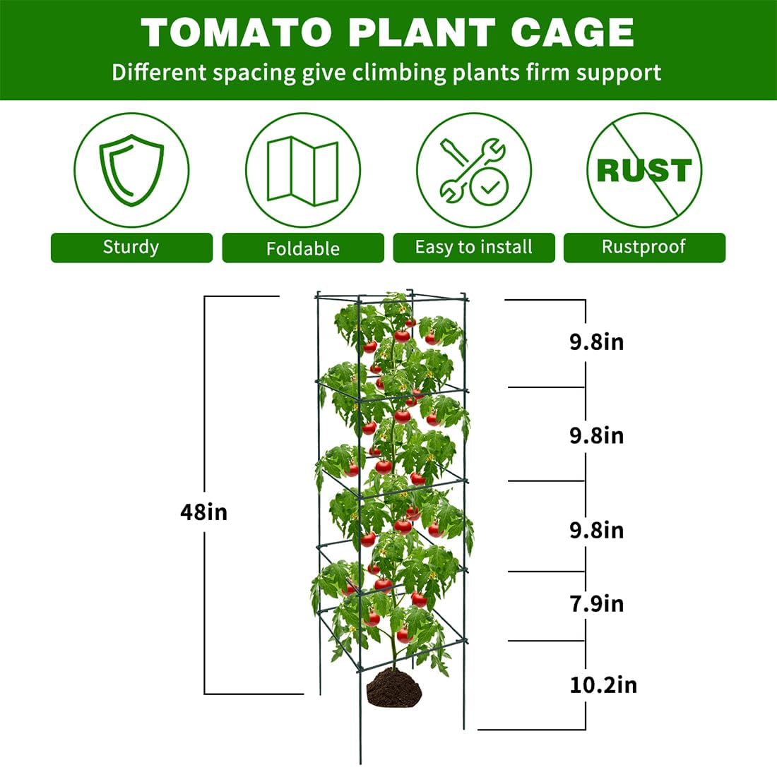 6 Packs Tomato Cages for Garden, 12"×12"×48" Plant Support Cage with Different Spacing, Green Metal Trellis for Climbing Plants Like Cucumber, Flowers