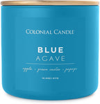 Colonial Candle Blue Agave Scented Jar Candle, Pop of Color Collection, 3 Wick, 14.5 oz - Up to 60 Hours Burn