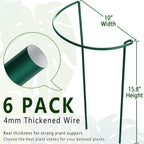 6 Pack Plant Support Stakes, Metal Monstera Plant Support Stakes for Indoor Plants, Large Garden Plant Support Ring, Tomato Cage, Tall Plant Holder Sticks (10" W X 15.8" H)