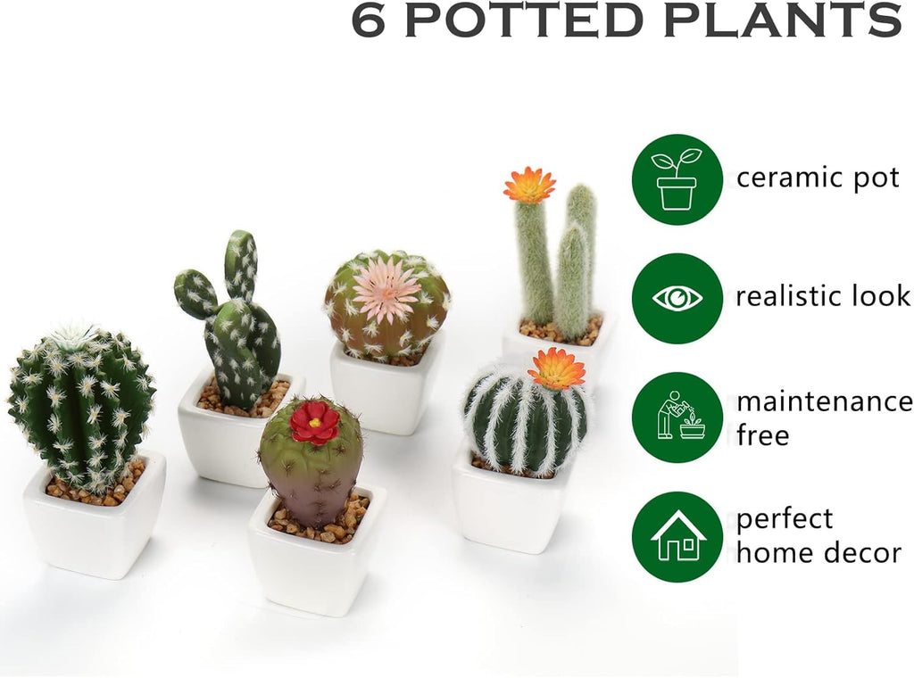 Mini Artificial Cactus Plants in Ceramic Pots 6 Pcs Potted Faux Succulents in Pots Fake Potted Plants Cactus Decor Small Artificial Plant for Home Decor Indoor Office Desk Tabletop Shelf