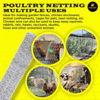Chicken Wire 60 in x 50 FT x 2” Mesh x 20GA | Poultry Wire Netting | Hot Dipped Galvanised | Hexagonal Galvanized Mesh for Chicken Coop, Rabbit Cage, Fence Barrier PM60x50x2