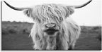 XXMWallArt FC3675 Highland Cow Canvas Art - Black and White Animal Wall Art for Living Room, Bedroom, Office Wall Decor