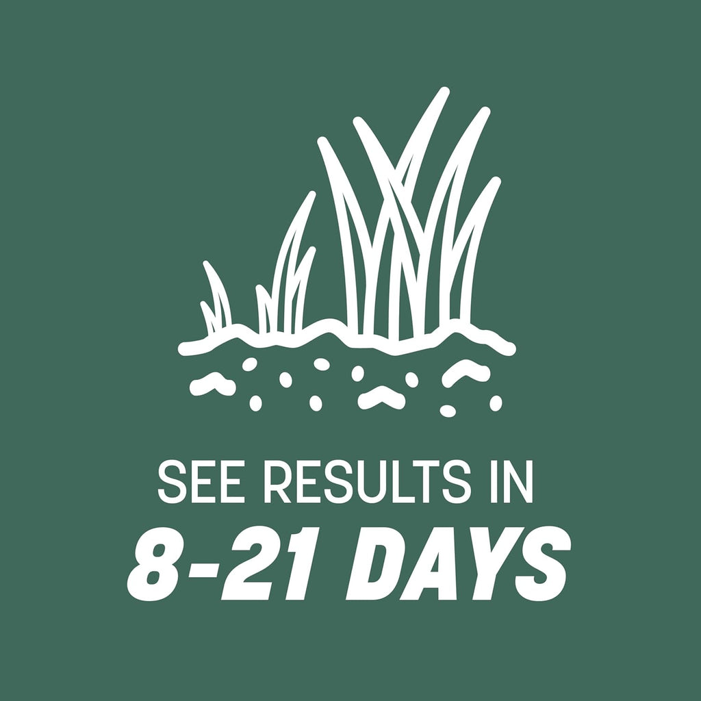 Pennington Kentucky 31 Tall Fescue Penkoted Grass Seed 40 lbs
