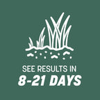 Pennington Kentucky 31 Tall Fescue Penkoted Grass Seed 40 lbs