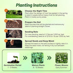 Outsidepride Perennial White Dutch Clover Seed - 40 lbs. Nitrocoated, Inoculated Clover Seeds for Lawn Alternative, Erosion Control, Food Plots, Ground Cover, & Pasture Mixtures in USDA Zones 3-10