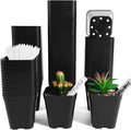 June Fox Small Seedling Pots 4 Inch, 100 Pcs Square Plant Pots Bulk, Plastic Nursery Pots with Drain Holes for Seedlings, Succulents, Cuttings (Black)