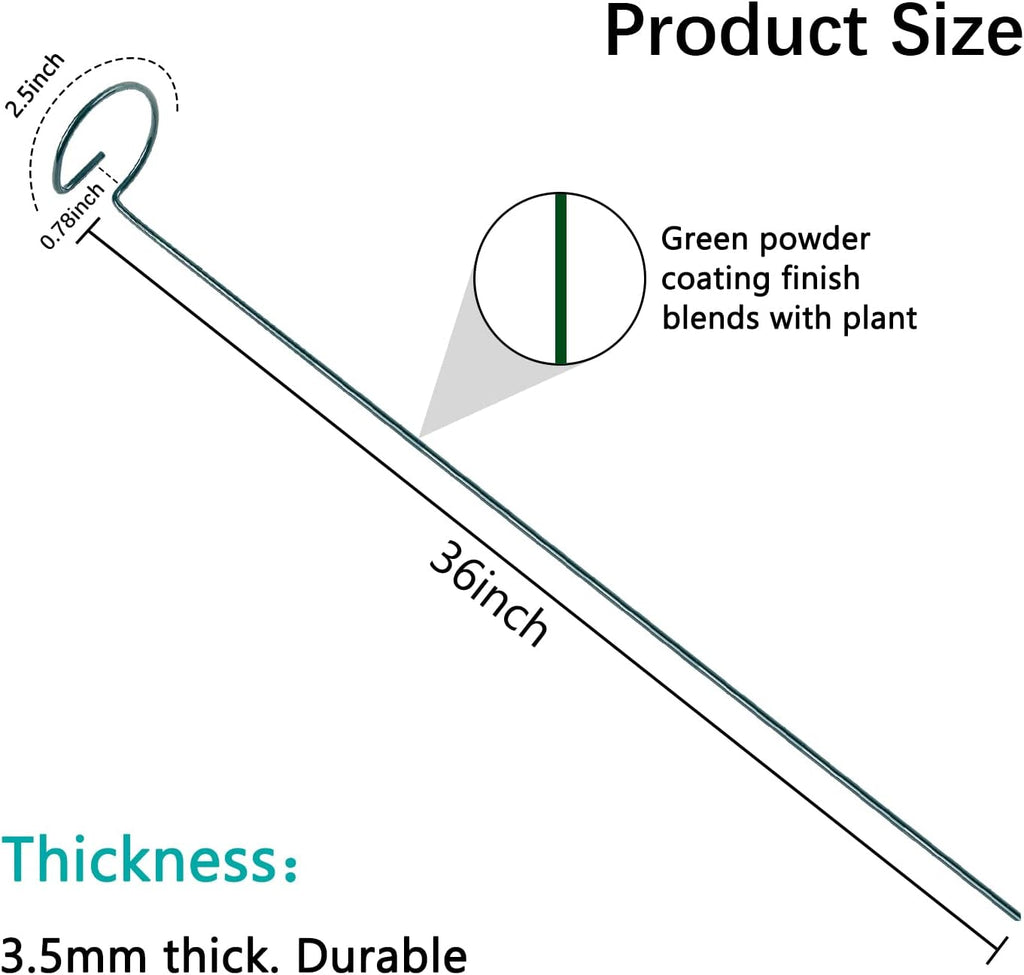 36 Inch 12 Packs Plant Support Stakes,Garden Single stemmed Plant Support Hoops, Plant Prop, for Flowers,Orchid, Tomatoes Peony Lily Rose (36 inch)