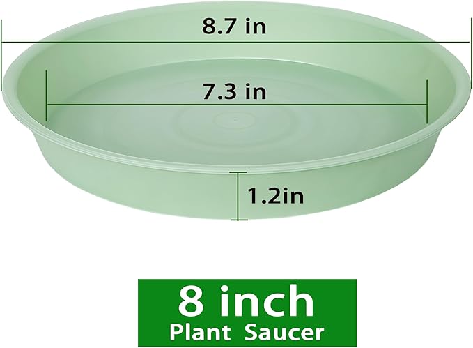 6 Pack of 8 inch Plant Saucer Blue, Plastic Plant Water Tray 8 inch Round, Flower Plant Saucers for Indoors, Dlant Dishes Saucer for Planter 7"/8" (8", Light Green)