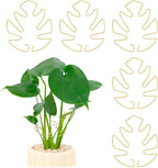 5PCS Iron Monstera Plant Support, Plant Stem Support, Turtle Shell Bamboo Clamp Set, Stable Plant Support Stakes for Indoor Plant, Ideal Present for Plant Lovers