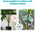 8 PCS Plant Stem Support, Plant Stakes for Indoor Plants Plant Clips for Climbing Plants, Plastic Monstera Plant Support Accessories for Potted Indoor Plant in Various Growth Stage(4 Sizes, 2 Colors)