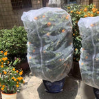 Agfabric 2 Pack Fruit Tree Netting Protection Bag with Drawstring,3.2x4.9 FT Garden Netting Insect Pest Barrier,Bird Netting Plant Covers for Vegetables Fruits Flower,White