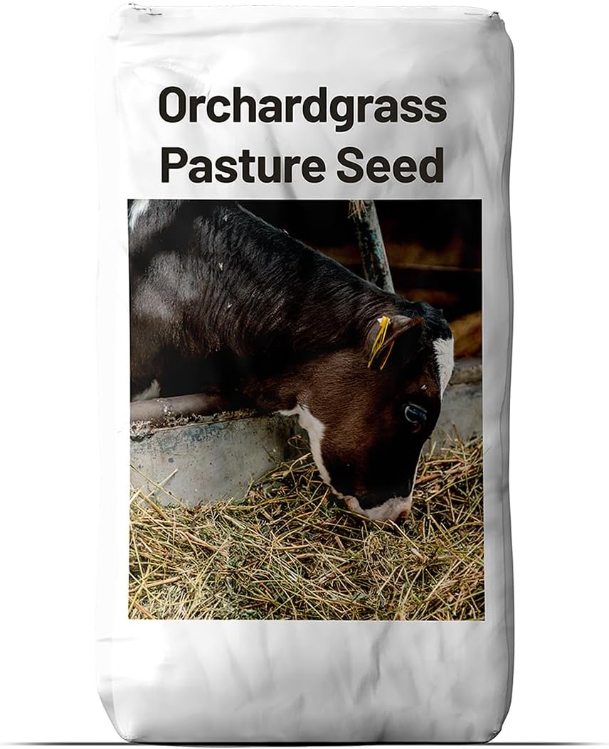 Outsidepride Grazer Orchard Pasture Grass Seed - 25 Lbs. Perennial, Drought & Shade Tolerant, Winter Hardy Fescue Seed for Hay, Grazing, Silage, Greenchop, Goat Feed, & Lawn Use