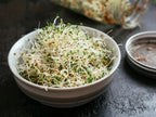 Todd's Seeds Broccoli and Friends Sprouting Seed Mix: Broccoli, Crimson Clover, Red Radish, Alfalfa, Non-GMO, Chemical Free, High Germination (1/2 Pound)