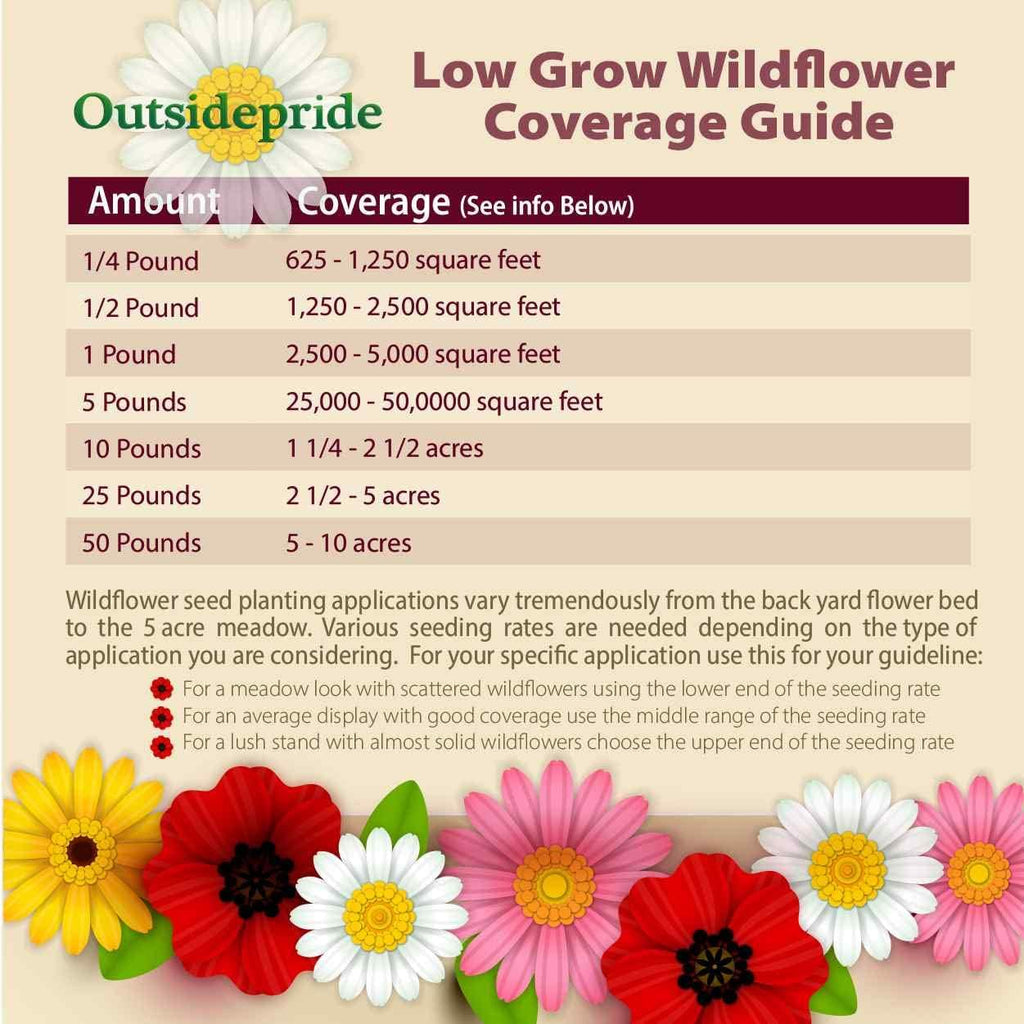 Outsidepride Low Growing Wildflower Seeds - 5 lbs Dwarf, & Short, Diverse Perennial & Annual Wild Flower Seed Mix with Long Bloom Season for Colorful Display That Thrives on All States