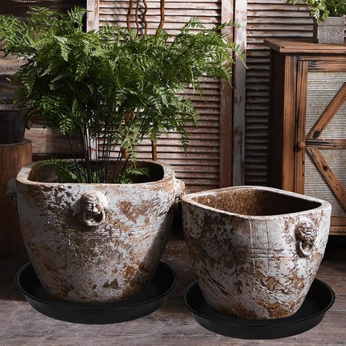 4 Pack of 16 17 inch Plant Saucer (15 inch Base), 2.3" Depth, Heavy Duty Deep Plant Trays for Pots, Plastic Plant Saucers for Indoors, Bird Bath Bowls, Drip Trays for Planter (17", Black)