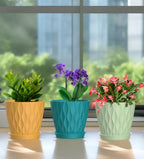 4 Inch Plant Pots, 6 Pack Indoor Flower Pots, Planters with Drainage Holes and Trays for Orchids, Violets, Succulents, Herbs, and Other Plants,Corolful