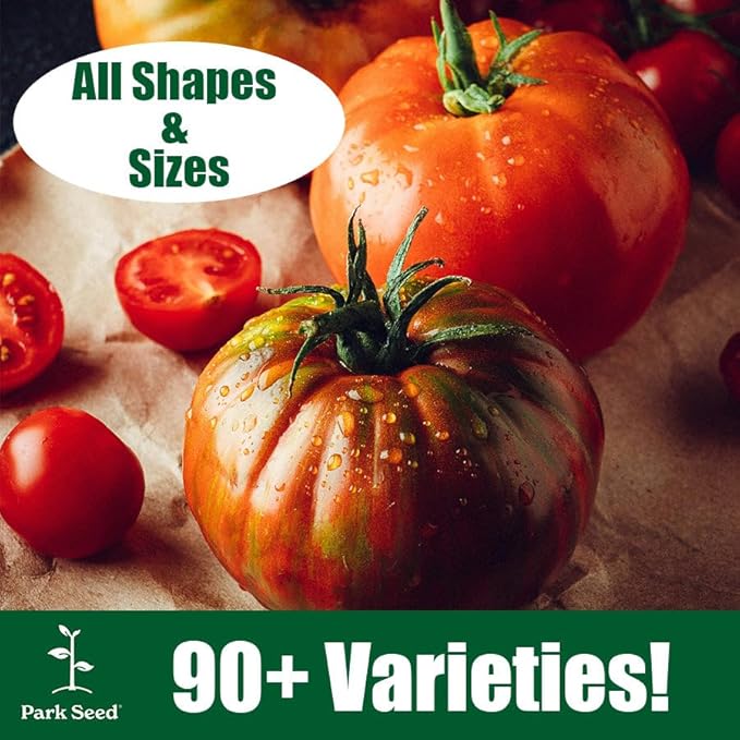Park Seed Variety of Tomato Seeds, Planting Vegetables, Easy to Grow, Non-GMO, Perfect for Harvesting, Cherokee Purple Organic, Pack of 30