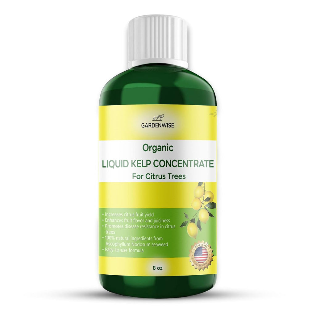 Organic Premium Kelp Seaweed Fertilizer: All-in-One Citrus Tree Fertilizer for Meyer Lemon, Lime, and Other Fruiting Trees - Liquid Plant Food for Potted & Outdoor Citrus Trees (8 OZ)