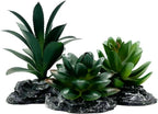 Smoothedo-Pets Reptile Artificial Plants Succulent Terrarium Decor Desert Rainforest Plant Lizard Beard Chameleon Gecko Snake Amphibious Sea Turtle Tank Accessory (Dark-Green-3pcs-Se)