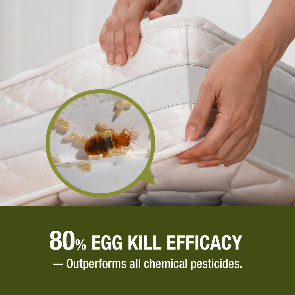 Bed Bug Killer 64 oz EcoVenger by EcoRaider, 100% Kill Efficacy, Bedbugs & Mites, Kills Eggs & The Resistant, Lasting Protection, USDA BIO-Certified, Plant Extract Based & Non-Toxic, Child & Pet Safe