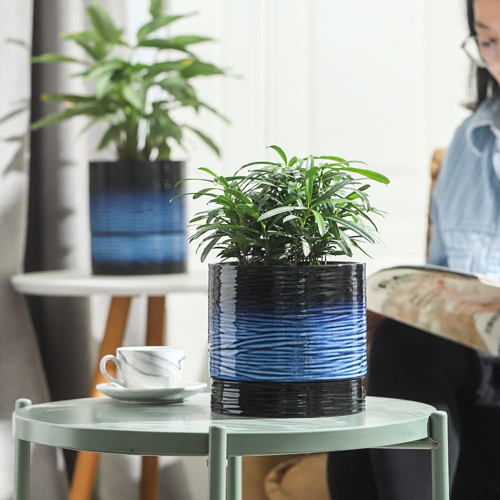 Nihow Ceramic Plant Pot: 6 Inch Planter with Drainage Hole & Saucer for Indoor & Outdoor Plants - Cylinder Round Flower Pot for Succulent/Herbs/Violets - Black & Vivid Blue