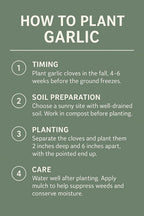 Garlic Bulbs for Seed - Fresh California SOFTNECK Garlic for Planting - Grow Your Own Garlic (20 Bulbs)