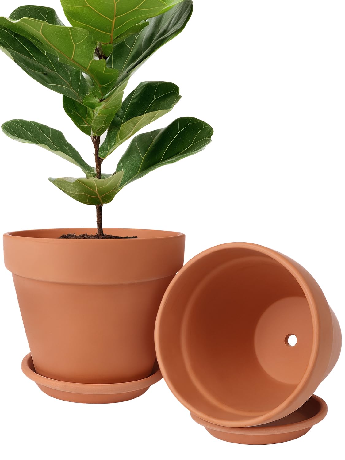 INGOFIN Terracotta Pot Set of 2 with Saucer - 10 Inch Ceramic Clay Pot for Plants with Drainage Hole, Large Terra Cotta Flower Planter with Tray for Indoor Outdoor Plants
