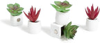 U Brands Mini Fashion Small Magnet Set, Green Succulents, 12 Count, Office Supplies for Classroom or Office Decor, Cute Magnets for Whiteboard