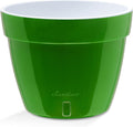 Santino ASTINO 9.2 Inch Self Watering Planter Green-Gold/White for Indoor Plants - Premium Quality Plastic Pot with Water Level Indicator for All House Herbs, Plants, African Violets and Dahlias