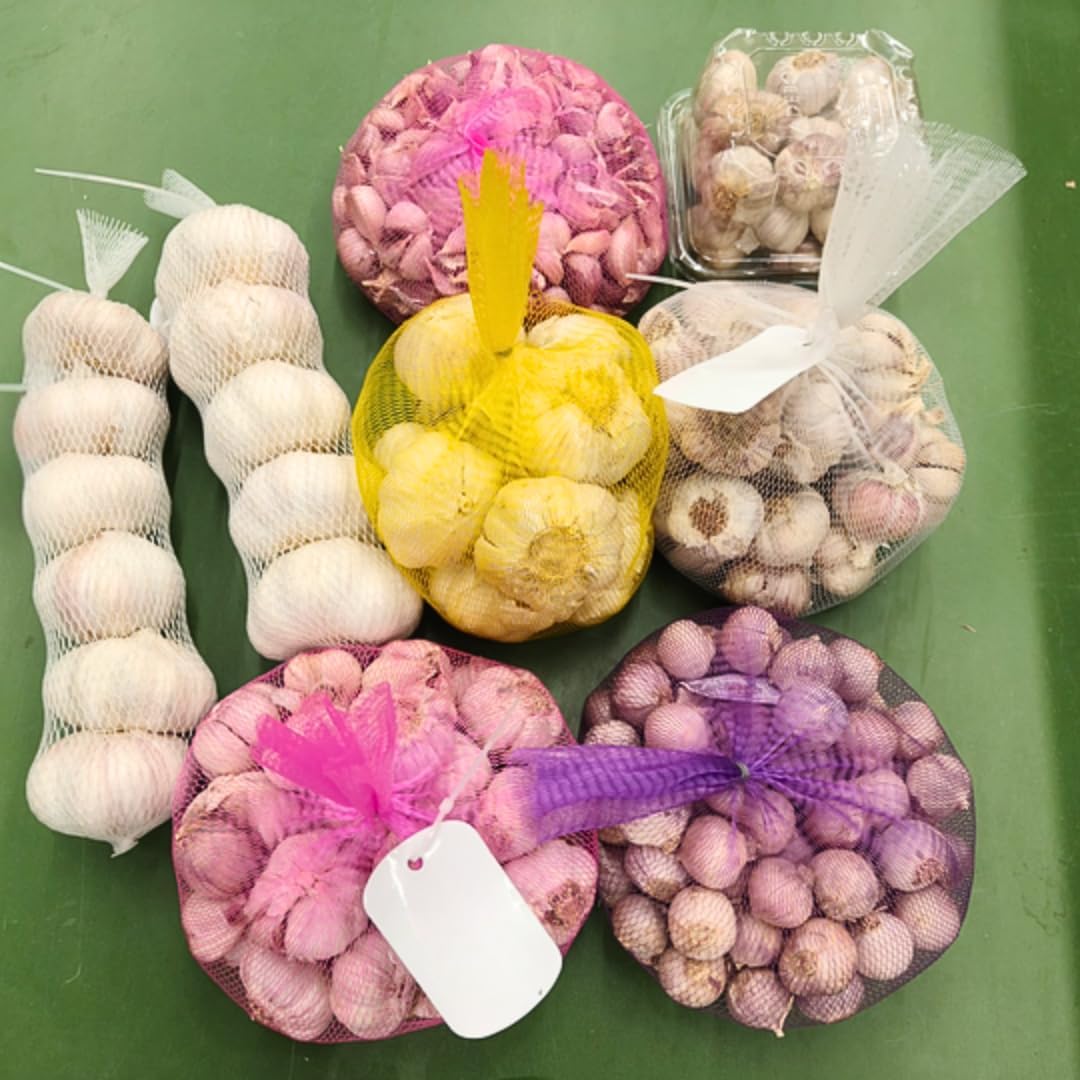 1 Pound Garlic for Planting in Fall Mix Random Softneck Hardneck, 8-10 Assorted Garlic Bulbs for Planting, Fresh and High Yield Bulb Variety Pack, Hardy and Fast Growing