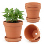 Riseuvo 6 Inch Terracotta Pots with Saucers – 4 Pack Medium Clay Flower Pots with Drainage Hole，Clay Pot for Succulents, Cactus and Indoor Plants, Wedding Favors