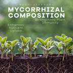 DYNOMYCO Granular Mycorrhizal Fungi Inoculant, 100g/3.5oz – Boosts Root Growth, Yields & Nutrient Uptake – 900 Propagules/g, Concentrated Granules, & OMRI Listed – Biofertilizer for Plant Growth