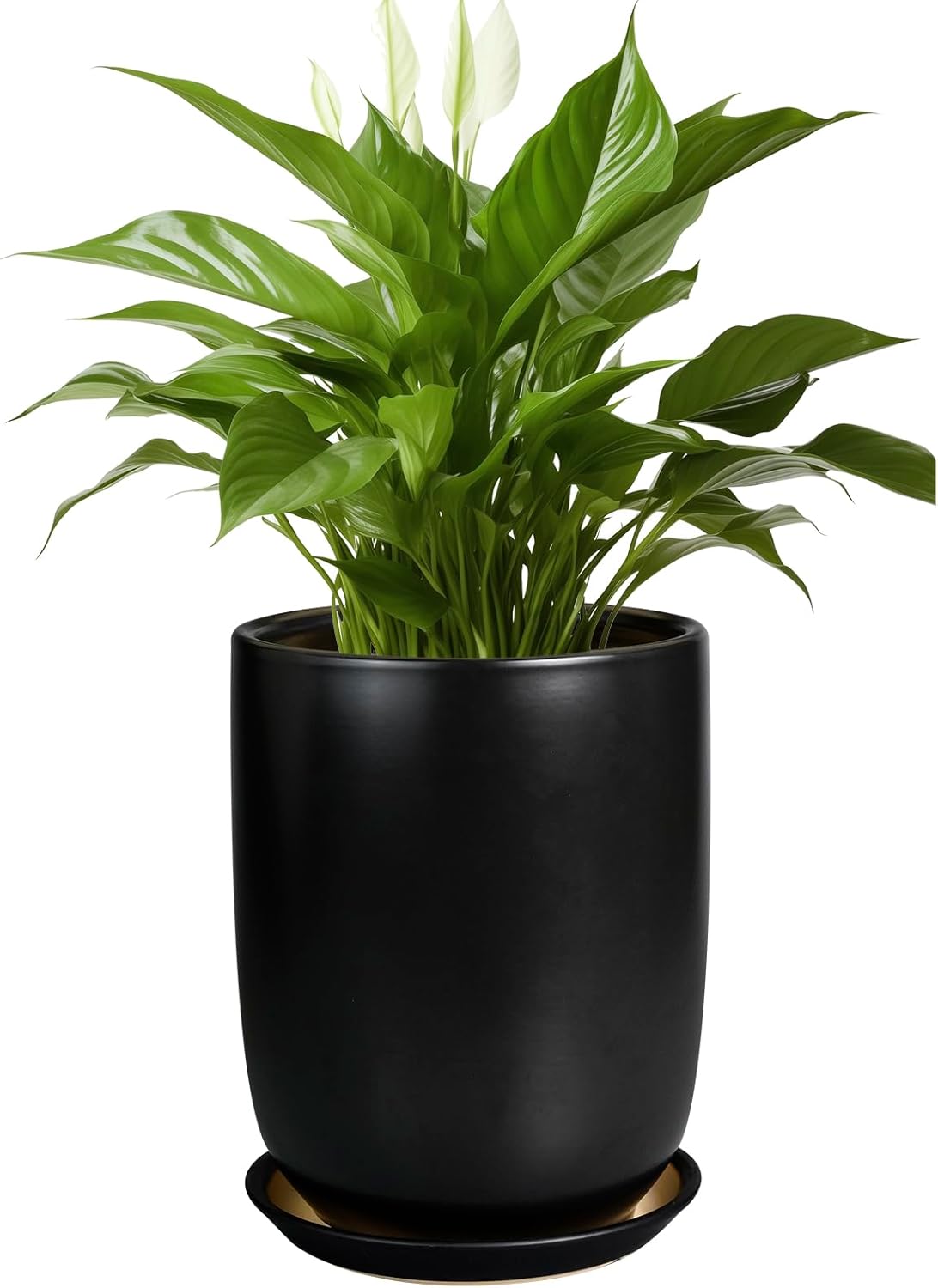 Ceramic Planter 8 Inch - Plant Pot for Indoor Outdoor Plants Cylinder Flower Pot with Drainage Hole and Saucer Black