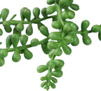 6 Pcs String of Pearls Plant Artificial Hanging Succulents Plants for Home Garden Decor