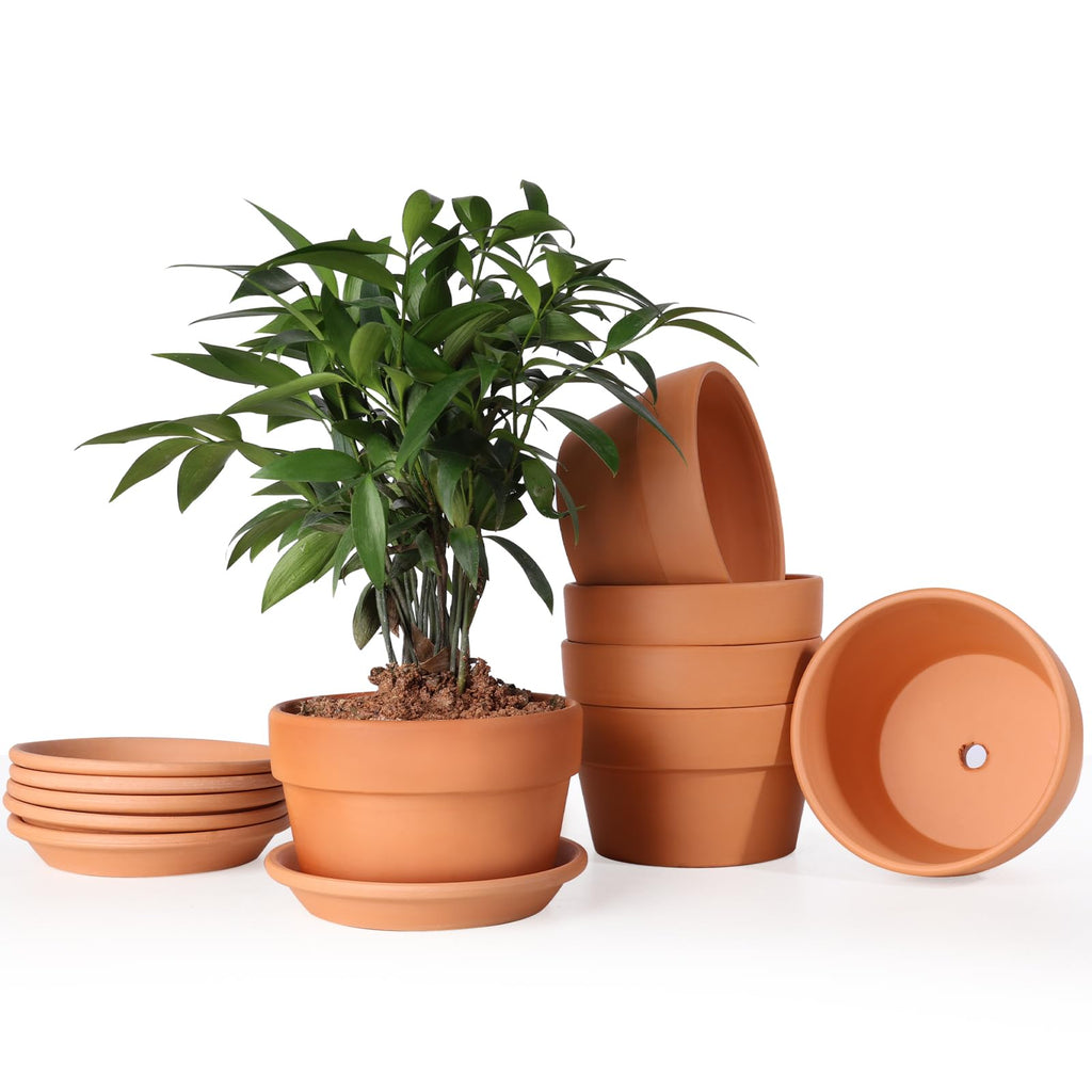INGOFIN 5 Inch Terracotta Shallow Pots Set with Saucer - Ceramic Clay Pots with Drainage Hole, Terra Cotta for Plants for Indoor Outdoor Plants, Set of 6
