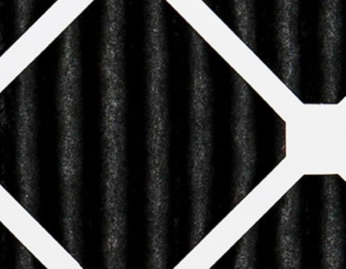 Nordic Pure 20x20x1 (Actual Size: 19 1/2 x 19 1/2 x 3/4) Pure Carbon Pleated Odor Reduction Furnace Air Filters 2 Pack