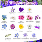 BBB Seed Partial Shade Wildflower Seeds 4oz - Open-Pollinated Wildflower Seed Mix Packet, No Fillers, Annual, Perennial Wildflower Seeds for Planting Year Round, 1/4 Pound