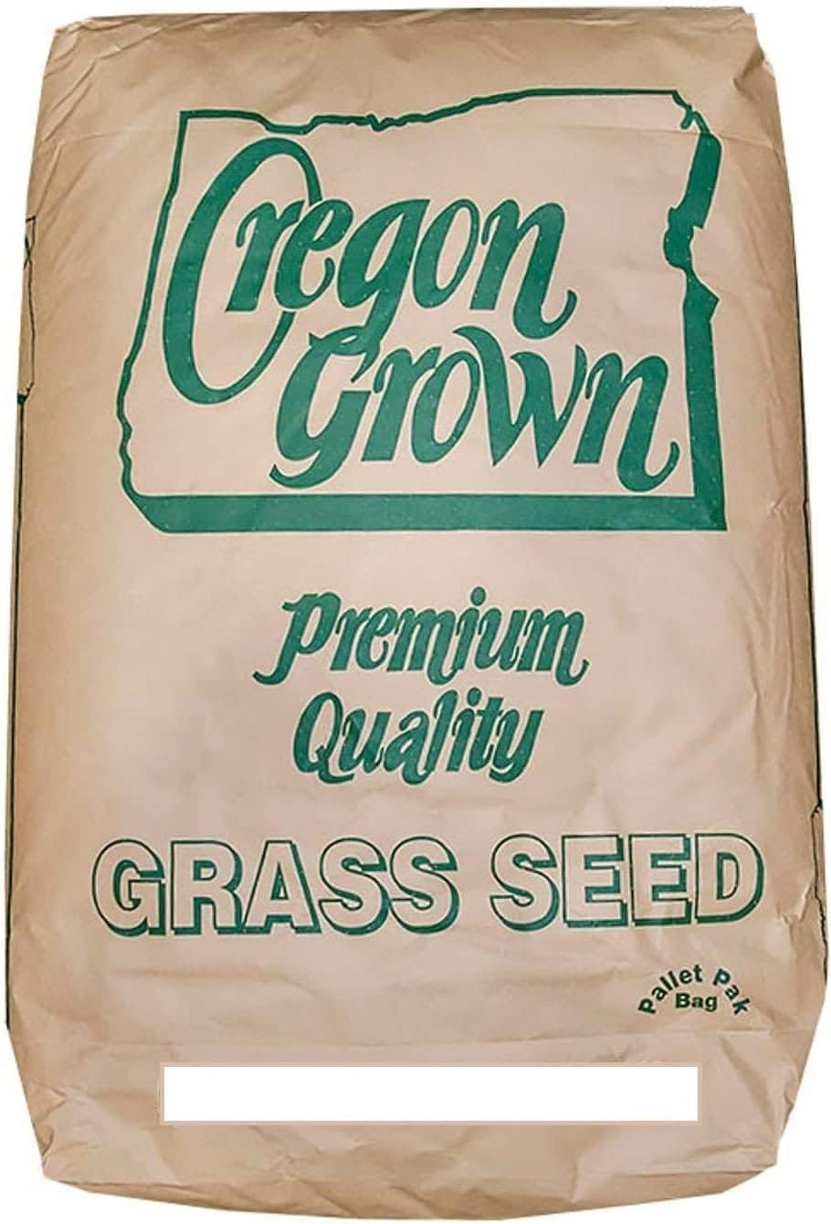 Annual Ryegrass Seeds for Planting - Premium Quality Rye Grass (1/2 Pound)