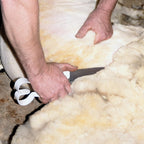 Premier 1 Triple Ground Hand Shear for Wool Sheep & Livestock - 6.5" Blade