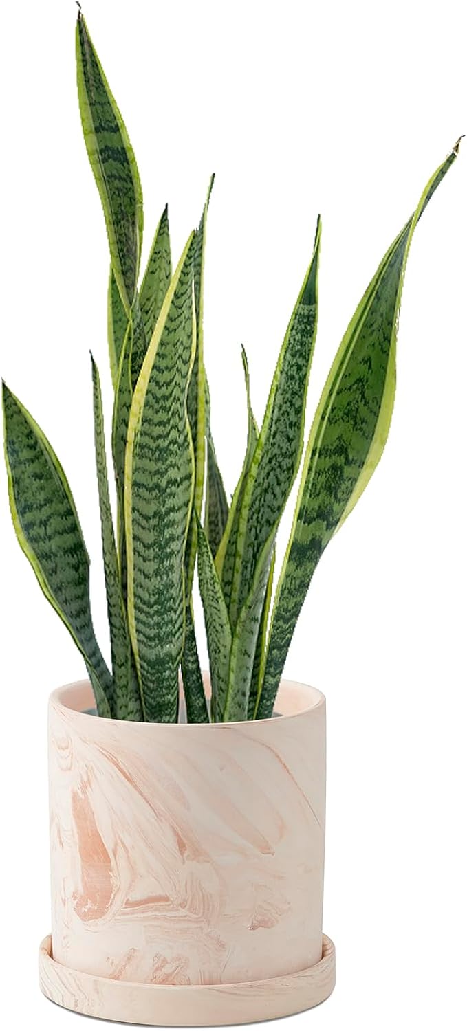 5 inch Plant Pot - Terra Cotta Flower Planters Indoor - Modern Succulents Containers with Drain Hole & Saucer, Decorate Home, Office & Outdoor (Pink)
