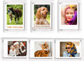 4x6 Acrylic Magnetic Picture Frames Refrigerator, Clear Magnetic Fridge Photo Frame Compatible with Polaroid Camera Photos for Home/Kitchen Refrigerator/Locker/Cabinets/Wall, 6 Pack