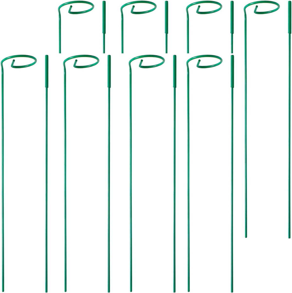 8 Pack Plant Stakes,Plant Support Stakes for Two Sizes(16 or 32 Inches),Plant Stakes for Outdoor Plants,Garden Flower,Tomato(Green)