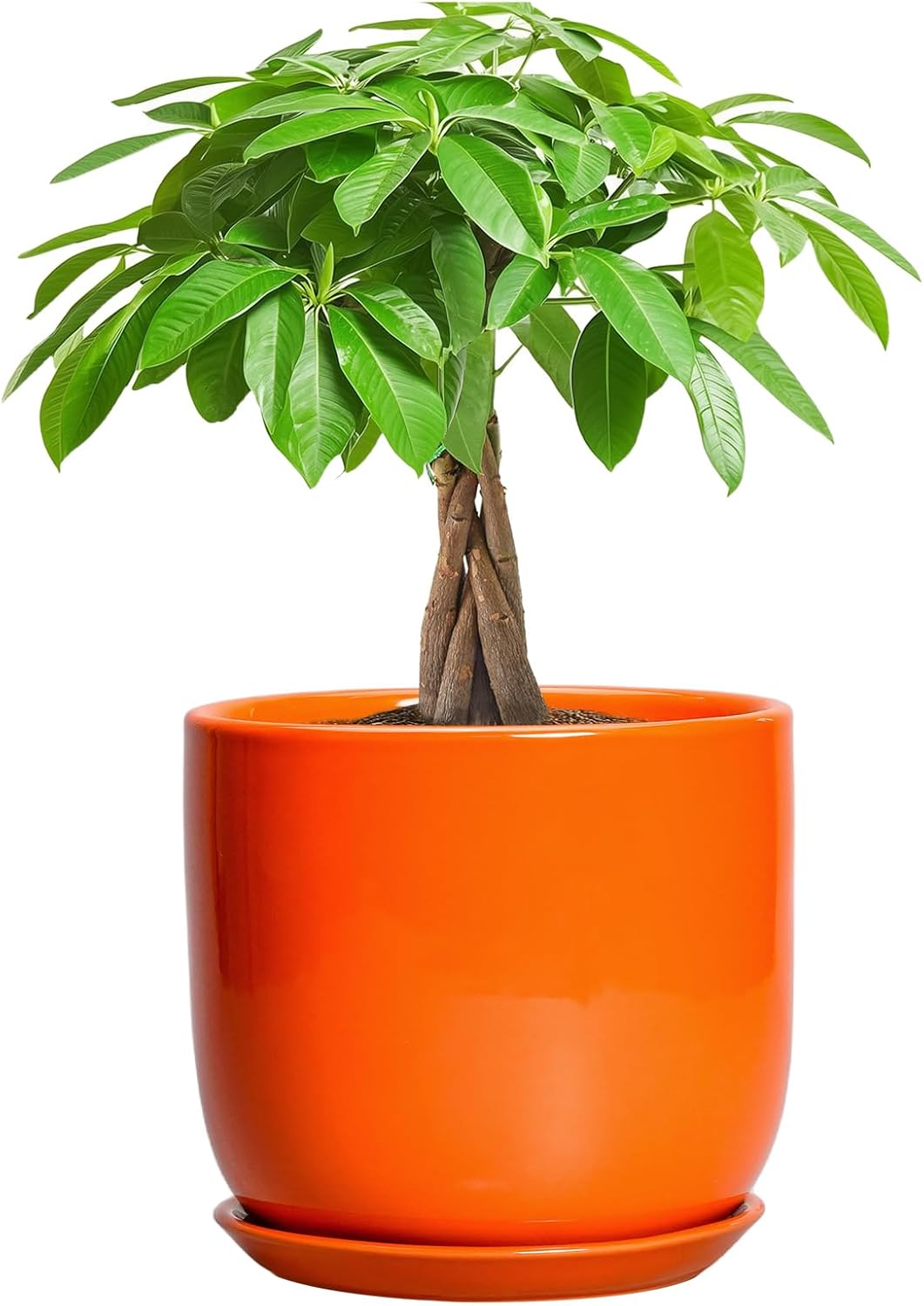 7 Inch Plant Pot - Ceramic Planter with Drainage Hole and Saucer, Modern Round Ceramic Flower Pot for Indoor Outdoor Plants, Plant Lover Gifts, Home Garden Office Decor, Orange