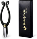 Hanafubuki Wazakura Ikenobo Ikebana Flower Scissors MADE IN JAPAN 6.5inch(165mm), Japanese Floral Arranging Tools, Kado Hasami Shears - Ikenobo Black
